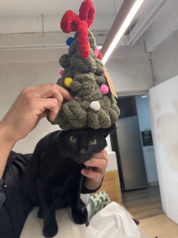 毛絨絨聖誕小樹材料包